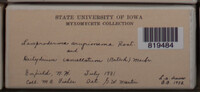 Image Associated With the Occurence